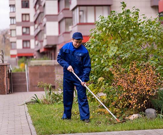 Уборка территории во Фрязино и  Московской области
